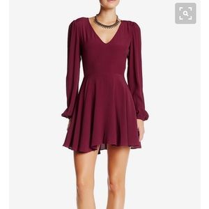 Lovers and friends skater dress